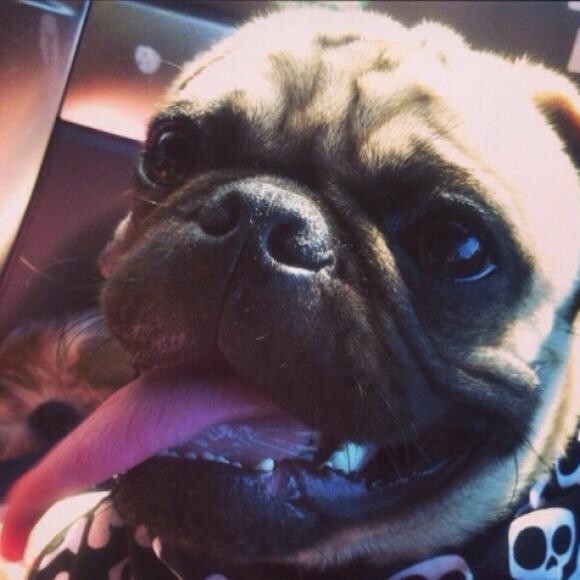 Charlie