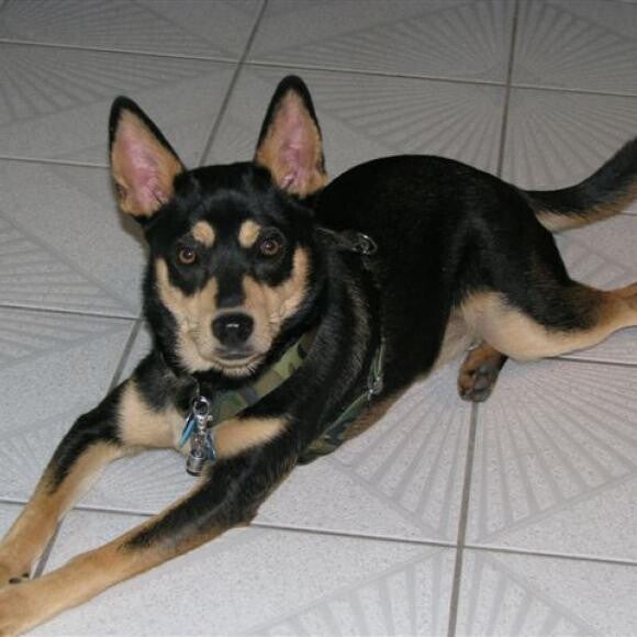 Sam