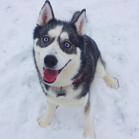 Luna