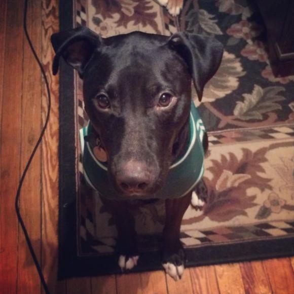 Raylan