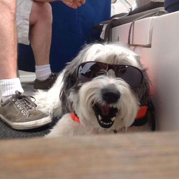 Murphy
