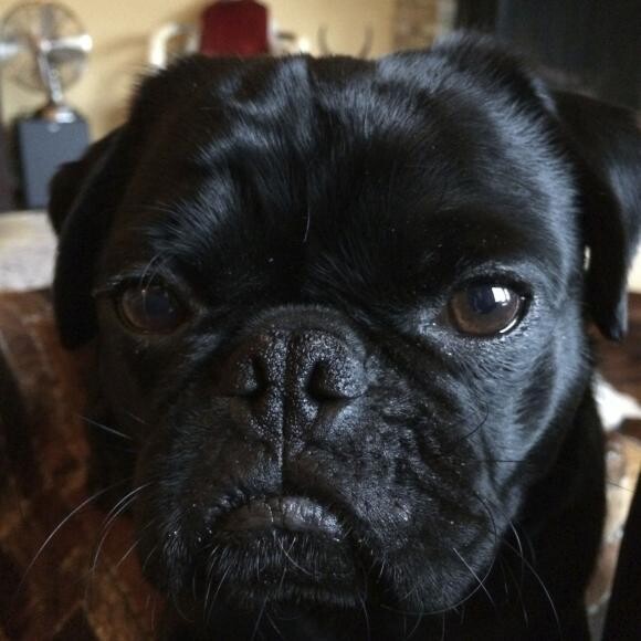 Charles