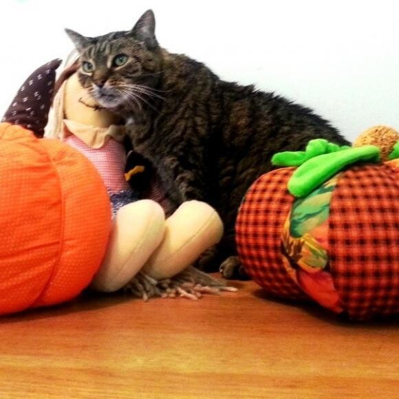 Gertrude