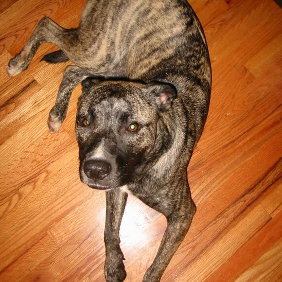 Baxter