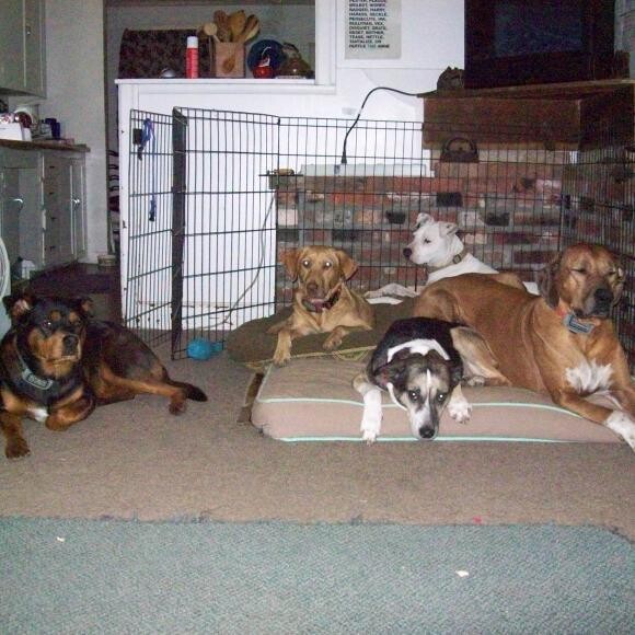 The Kids
