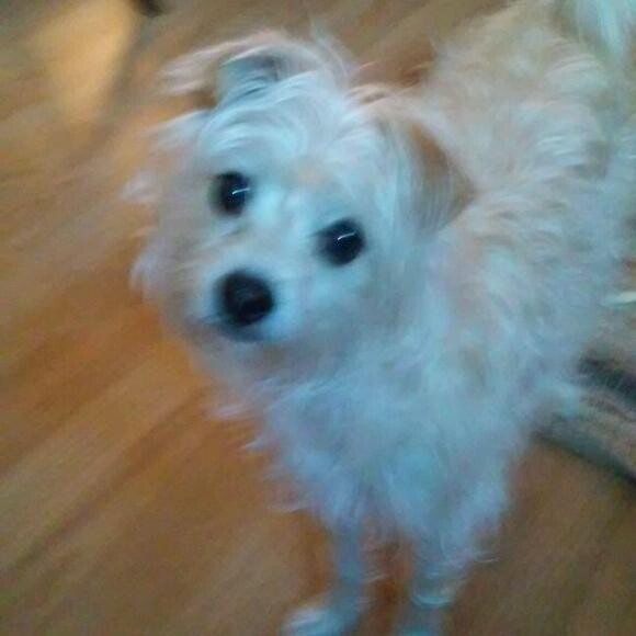 Molly