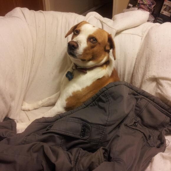 Max