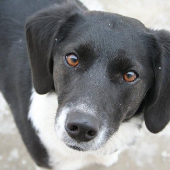 Kona