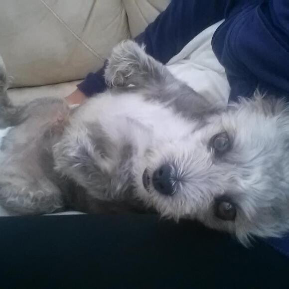 Max