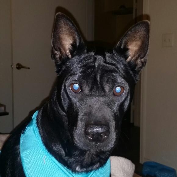 Chloe