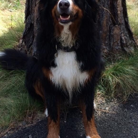 Kaya