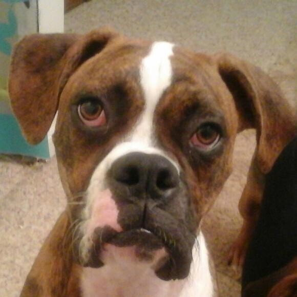 Mack