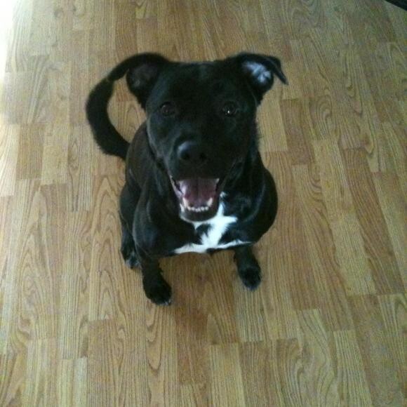 Lucy