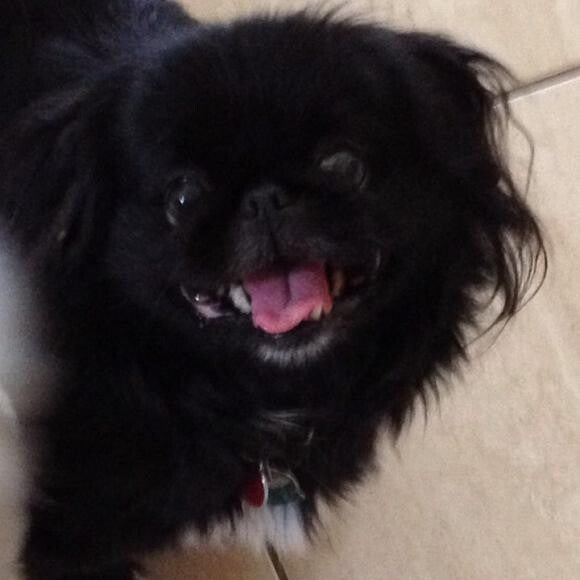 Trixie