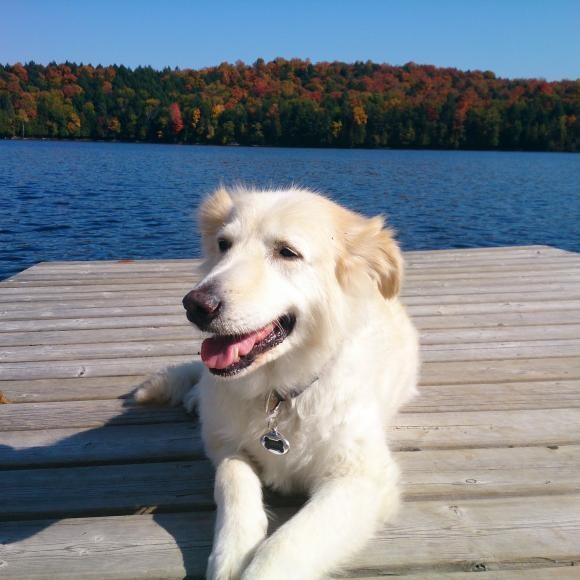 Aspen