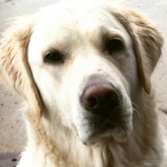 Bella