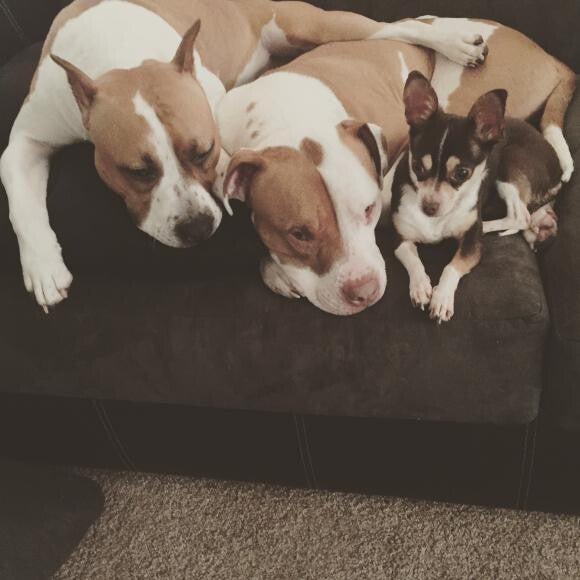 Norma Jean, Surri, Liara