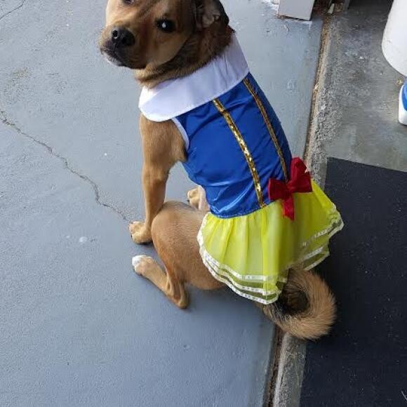 Bella