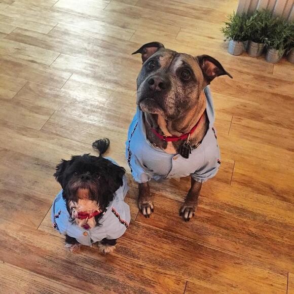 Hunter and Greco