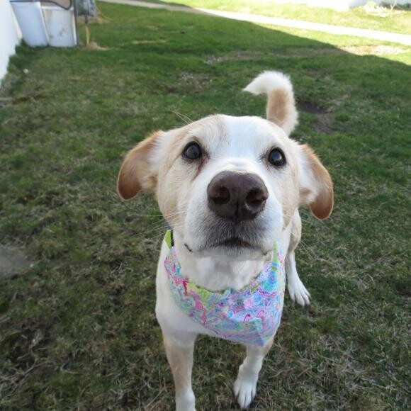 Tucker