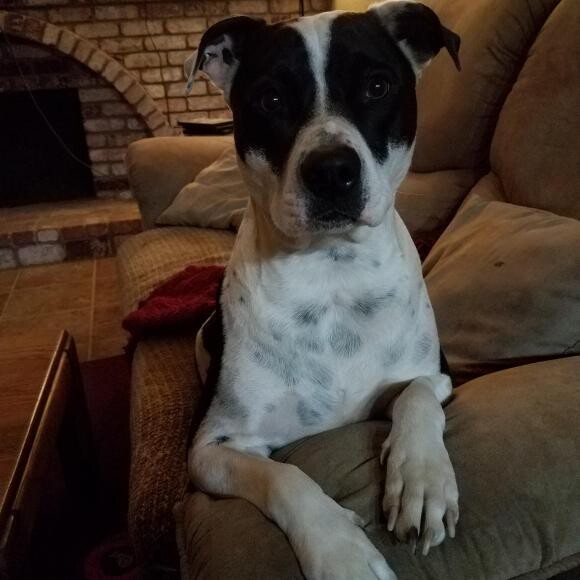 Luna