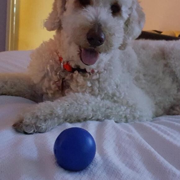 Lulu