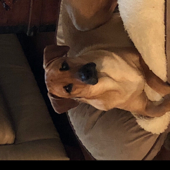 Sophie
