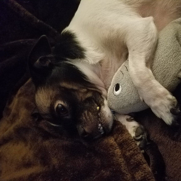 Tuukka