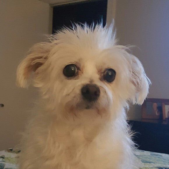 Rosie