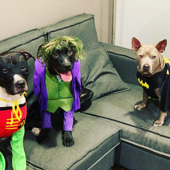 Freya, August and Oliver