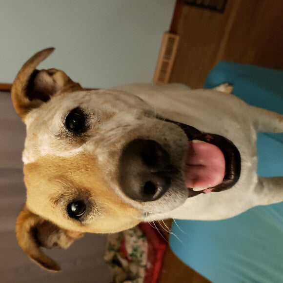 Tucker