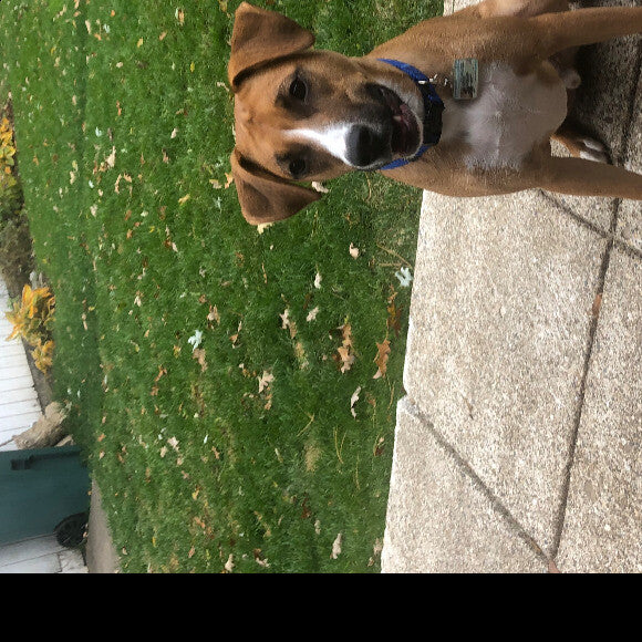 Sullivan
