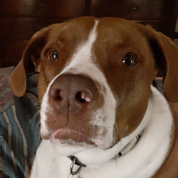 Lucy
