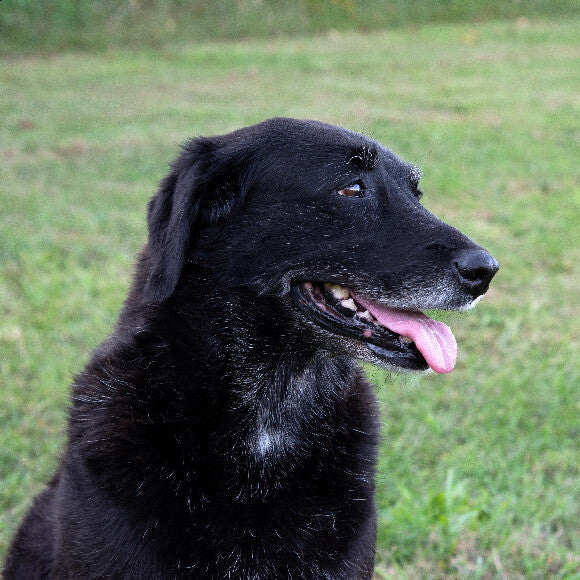 Charly
