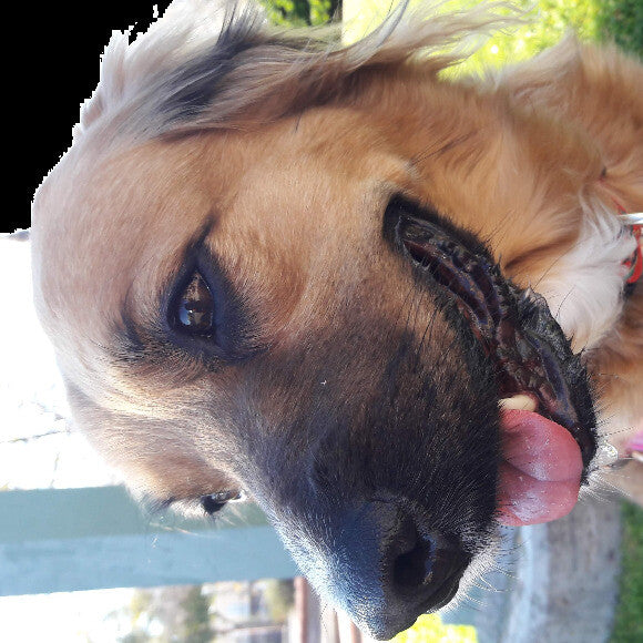 Molly