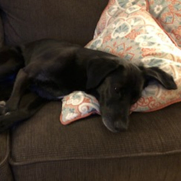 Opie