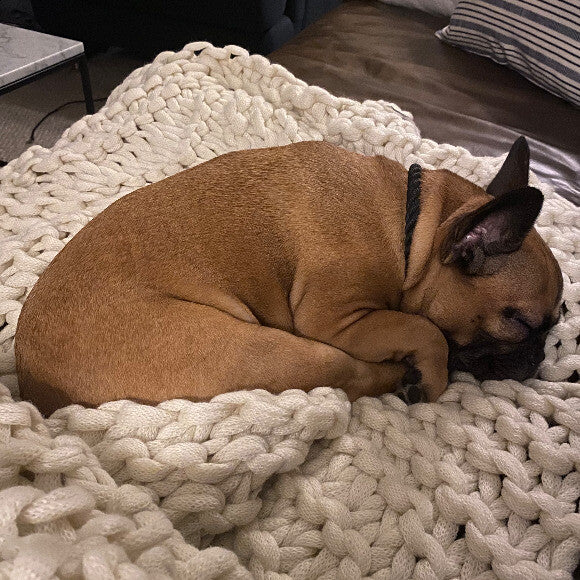 Mocha
