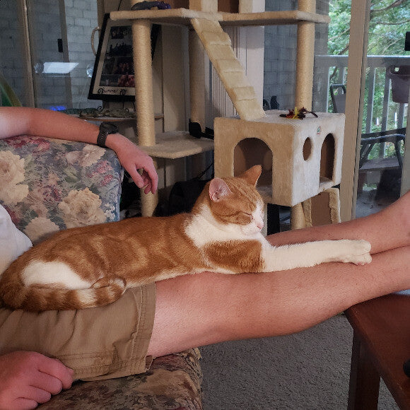 Elliot & Sparrow