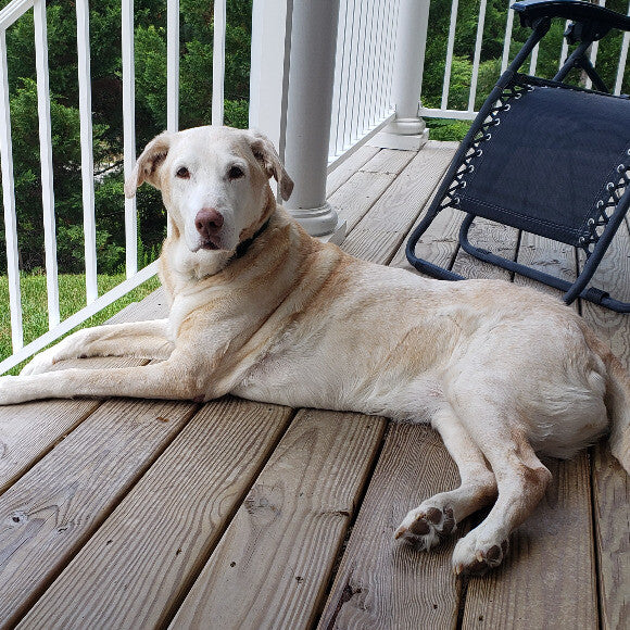 Remington