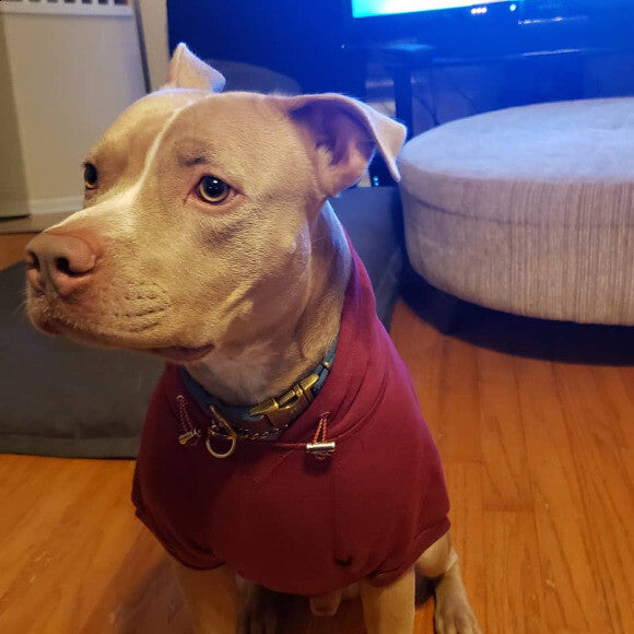 Logan