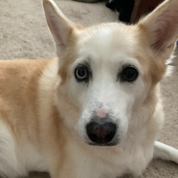 Sophie