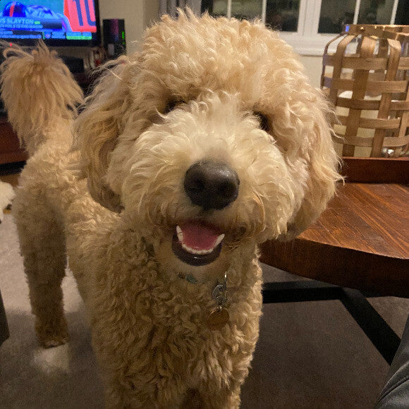 Penelope