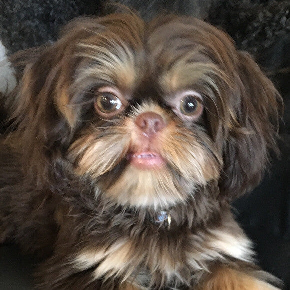 Mushu