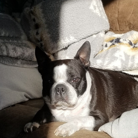 Buster