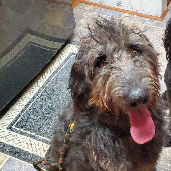 Luke