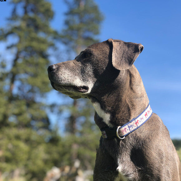 Nala