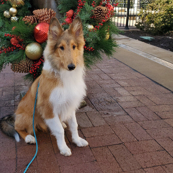 Loki