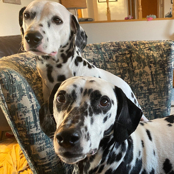 Lucy and Olivia