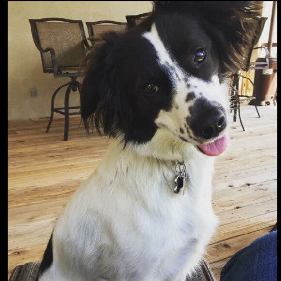 Kahlua