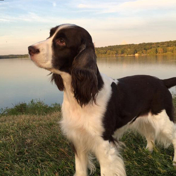 Bella